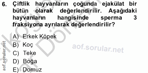 6. soru: Çiftlik hayvanların çoğunda ejakülat bir bütün olarak değerlendirilir. Aşağıdaki hayvanların hangisinde sperma 3 frak…