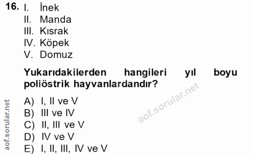 16. soru: 1. Inek II. Manda III. Kısrak IV. Köpek V. Domuz Yukarıdakilerden hangileri yıl boyu poliöstrik hayvanlardandır? A) I…