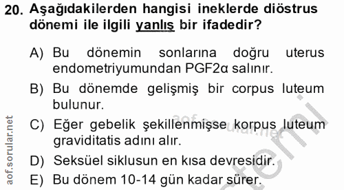 20. soru: Aşağıdakilerden hangisi ineklerde diöstrus dönemi ile ilgili yanlış bir ifadedir? A) Bu dönemin sonlarına doğru uteru…