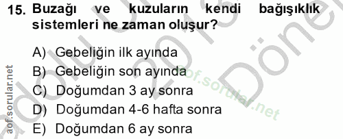 15. soru: Buzağı ve kuzuların kendi bağışıklık sistemleri ne zaman oluşur? A) Gebeliğin ilk ayında B) Gebeliğin son ayında C) D…