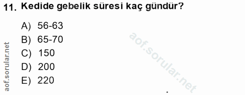11. soru: Kedide gebelik süresi kaç gündür? A) 56-63 B) 65-70 C) 150 D) 200 E) 220