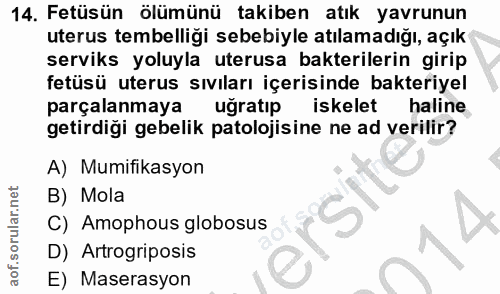 14. soru: Fetüsün ölümünü takiben atık yavrunun uterus tembelliği sebebiyle atılamadığı, açık serviks yoluyla uterusa bakterile…