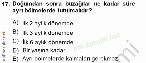17. soru: Doğumdan sonra buzağılar ne kadar süre ayrı bölmelerde tutulmalıdır? A) İlk 2 aylık dönemde B) İlk 3 aylık dönemde C)…