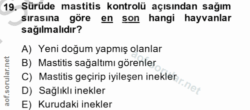 19. soru: Sürüde mastitis kontrolü açısından sağım sırasına göre en son hangi hayvanlar sağılmalıdır? A) Yeni doğum yapmış olan…