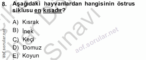 8. soru: Aşağıdaki hayvanlardan hangisinin östrus siklusu en kısadır? A) Kısrak B) inek Sinavi C) Keçi D) Domuz E) Koyun