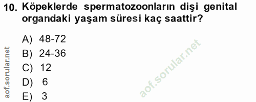 10. soru: Köpeklerde spermatozoonların dişi genital organdaki yaşam süresi kaç saattir? A) 48-72 B) 24-36 C) 12 D) 6 3