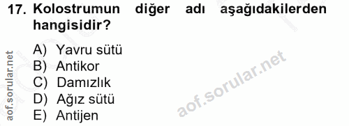 17. soru: Kolostrumun diğer adı aşağıdakilerden hangisidir? A) Yavru sütü orular.net B) Antikor C) Damızlık D) Ağız sütü aof. E…