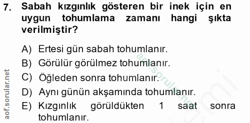 7. soru: Sabah kızgınlık gösteren bir inek için en uygun tohumlama zamanı hangi şıkta verilmiştir? A) Ertesi gün sabah tohumla…