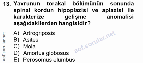13. soru: Yavrunun torakal bölümünün sonunda spinal kordun hipoplazisi ve aplazisi ile karakterize gelişme anomalisi aşağıdakil…