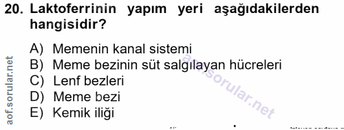 20. soru: Laktoferrinin yapım yeri aşağıdakilerden hangisidir? A) Memenin kanal sistemi B) Meme bezinin süt salgılayan hücreler…