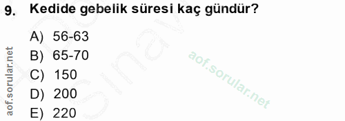9. soru: Kedide gebelik süresi kaç gündür? A) 56-63 B) 65-70 C) 150 D) 200 E) 220