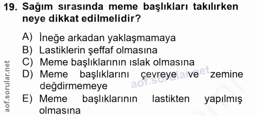 19. soru: Sağım sırasında meme başlıkları takılırken neye dikkat edilmelidir? A) İneğe arkadan yaklaşmamaya B) Lastiklerin şeff…