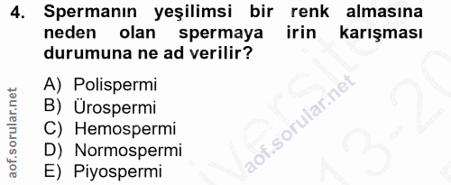 4. soru: Spermanın yeşilimsi bir renk almasına neden olan spermaya irin karışması durumuna ne ad verilir? A) Polispermi B) Üro…