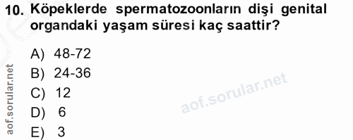 10. soru: Köpeklerde spermatozoonların dişi genital organdaki yaşam süresi kaç saattir? A) 48-72 B) 24-36 C) 12 D) 6 E) 3