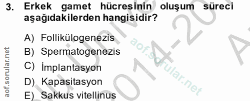 3. soru: Erkek gamet hücresinin oluşum süreci aşağıdakilerden hangisidir? A) Follikülogenezis °0, B) Spermatogenezis C) Implan…