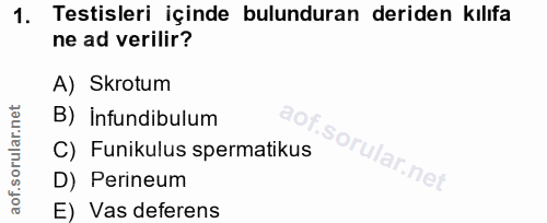 1. soru: Testisleri içinde bulunduran deriden kılıfa ne ad verilir? A) Skrotum B) İnfundibulum C) Funikulus spermatikus D) Per…