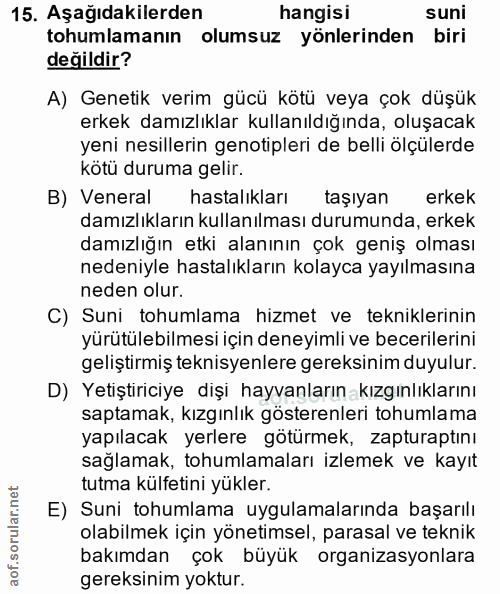 15. soru: Aşağıdakilerden hangisi suni tohumlamanın olumsuz yönlerinden biri değildir? A) Genetik verim gücü kötü veya çok düşü…
