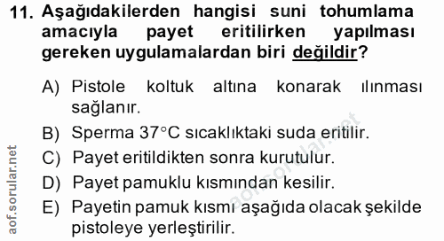 11. soru: Aşağıdakilerden hangisi suni tohumlama amacıyla payet eritilirken yapılması gereken uygulamalardan biri değildir? A)…