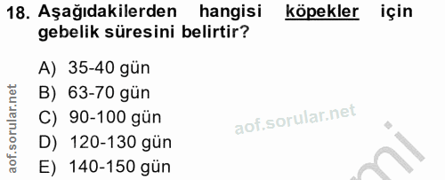 18. soru: Aşağıdakilerden hangisı köpekler için gebelik süresini belirtir? A) 35-40 gün B) 63-70 gün C) 90-100 gün D) 120-130 g…