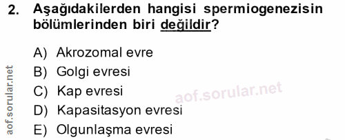 2. soru: Aşağıdakilerden hangisi spermiogenezisin bölümlerinden biri değildir? A) Akrozomal evre B) Golgi evresi C) Kap evresi…