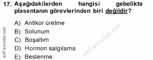 17. soru: Aşağıdakilerden hangisi gebelikte plasentanın görevlerinden biri değildir? A) Antikor üretme B) Solunum C) Boşaltım D…