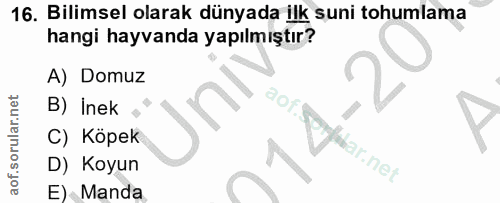 16. soru: Bilimsel olarak dünyada ilk suni tohumlama hangi hayvanda yapılmıştır? A) Domuz B) Inek • C) Köpek war.net D) Koyun E…