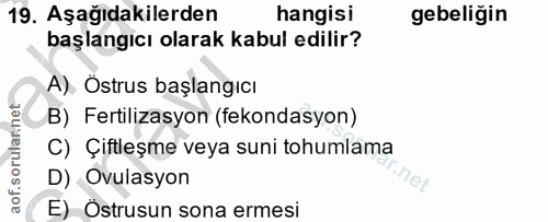 19. soru: Aşağıdakilerden hangisi gebeliğin başlangıcı olarak kabul edilir? A). Östrus başlangıcı B) Fertilizasyon (fekondasyon…