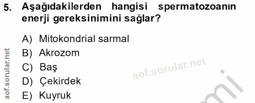 5. soru: Aşağıdakilerden hangisi spermatozoanın enerji gereksinimini sağlar? A) Mitokondrial sarmal B) Akrozom C) Baş D) Çekir…