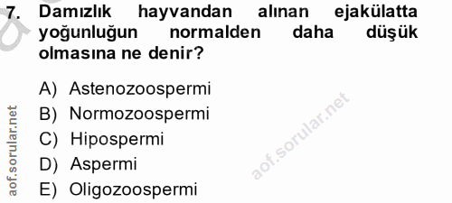 7. soru: Damızlık hayvandan alınan ejakülatta yoğunluğun normalden daha düşük olmasına ne denir? A) Astenozoospermi B) Normozo…