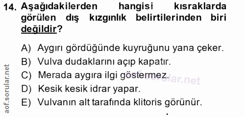14. soru: Aşağıdakilerden hangisi kısraklarda görülen dış kızgınlık belirtilerinden biri değildir? A) Aygırı gördüğünde kuyruğu…