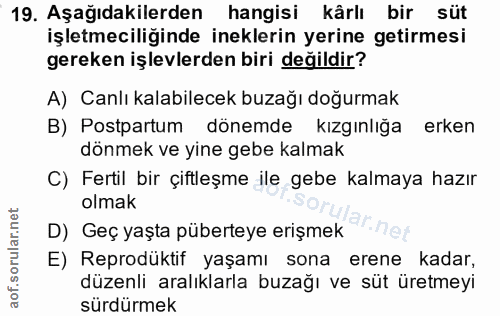 19. soru: Aşağıdakilerden hangisi kârlı bir süt işletmeciliğinde ineklerin yerine getirmesi gereken işlevlerden biri değildir?…