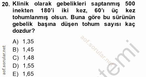 20. soru: Klinik olarak gebelikleri saptanmiş 500 inekten 180'i iki kez, 60 üç kez tohumlanmış olsun. Buna göre bu sürünün gebe…