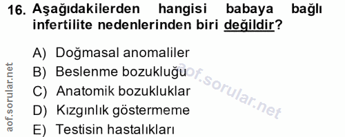 16. soru: Aşağıdakilerden hangisi babaya bağlı infertilite nedenlerinden biri değildir? A) Doğmasal anomaliler B) Beslenme bozu…