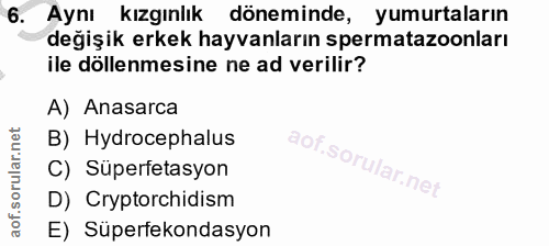 6. soru: Aynı kızgınlık döneminde, yumurtaların değişik erkek hayvanların spermatazoonları ile döllenmesine ne ad verilir? A)…