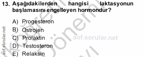 13. soru: Aşağıdakilerden hangisi laktasyonun başlamasını engelleyen hormondur? A) Progesteron B) Östrojen C) Prolaktin D) Test…