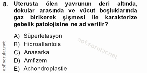 8. soru: Uterusta ölen yavrunun deri altında, dokular arasında ve vücut boşluklarında gaz birikerek şişmesi ile karakterize ge…