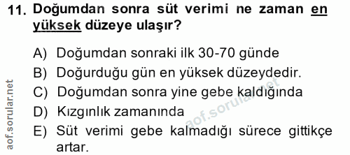 11. soru: Doğumdan sonra süt verimi ne zaman en yüksek düzeye ulaşır? A) Doğumdan sonraki ilk 30-70 günde B) Doğurduğu gün en y…
