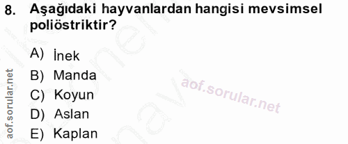 8. soru: Aşağıdaki hayvanlardan hangisi mevsimsel poliöstriktir? A) Inek B) Manda C) Koyun D) Aslan E) Kaplan