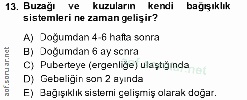 13. soru: Buzağı ve kuzuların kendi bağışıklık sistemleri ne zaman gelişir? A) Doğumdan 4-6 hafta sonra B) Doğumdan 6 ay sonra…