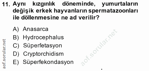 11. soru: Aynı kızgınlik döneminde, yumurtaların değişik erkek hayvanların spermatazoonları ile döllenmesine ne ad verilir? A)…