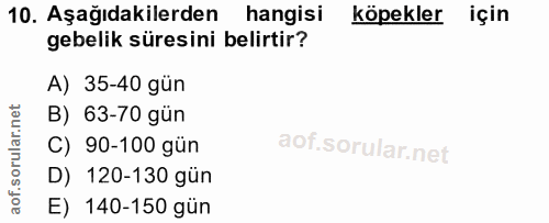 10. soru: Aşağıdakilerden hangisı köpekler için gebelik süresini belirtir? A) 35-40 gün B) 63-70 gün C) 90-100 gün D) 120-130 g…