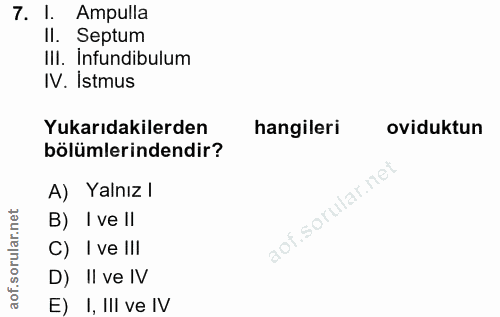 7. soru: 1. Ampulla Il. Septum IlI. Infundibulum IV. Istmus Yukarıdakilerden hangileri oviduktun bölümlerindendir? A) Yalnız l…