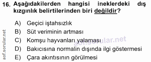 16. soru: Aşağıdakilerden hangisi ineklerdeki diş kızgınlık belirtilerinden biri değildir? A) Geçici iştahsızlık B) Süt verimin…