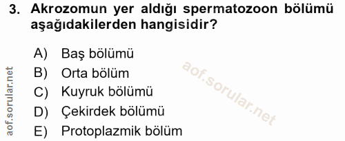 3. soru: Akrozomun yer aldığı spermatozoon bölümü aşağıdakilerden hangisidir? A) Baş bölümü B) Orta bölüm C) Kuyruk bölümü D)…