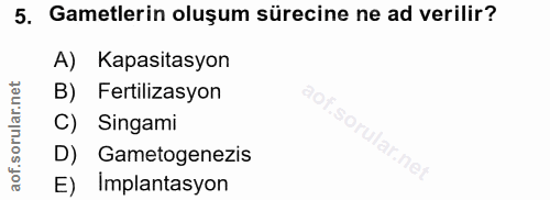 5. soru: Gamelerin oluşum sürecine ne ad verilir? A) Kapasitasyon B) Fertilizasyon aof. C) Singami $o D) Gametogenezis • ne E)…