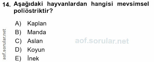 14. soru: Aşağıdaki hayvanlardan hangisi mevsimsel poliöstriktir? A) Kaplan B) Manda C) Aslan D) Koyun E) inek