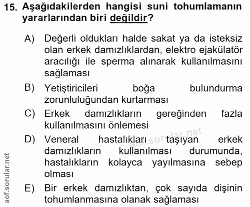 15. soru: Aşağıdakilerden hangisi suni tohumlamanın yararlarından biri değildir? A) Değerli oldukları halde sakat ya da isteksi…