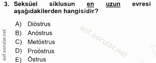 3. soru: Seksüel siklusun en uzun evresi aşağıdakilerden hangisidir? A) Diöstrus B) Anöstrus C) Metöstrus D) Proöstrus E) Östrus