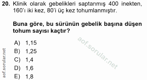 20. soru: Klinik olarak gebelikleri saptanmış 400 inekten, 160'1 iki kez, 80'i üç kez tohumlamıştır. Buna göre, bu sürünün gebe…