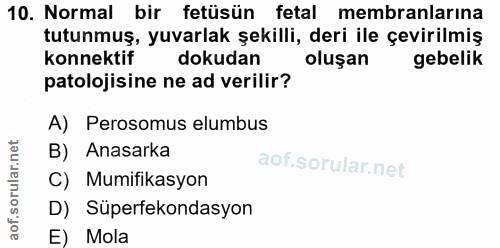 10. soru: Normal bir fetüsün fetal membranlarına tutunmuş, yuvarlak şekilli, deri ile çevirilmiş konnektif dokudan oluşan gebel…